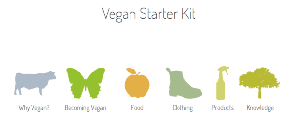 How to live a vegan lifestyle