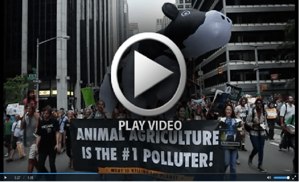 Cowspiracy - New York climate change march