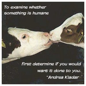 10676201_10153577016673475_1748424912420283240_n