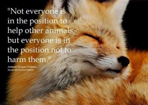 Not everyone is in a position to help but everyone is in a position not to harm them